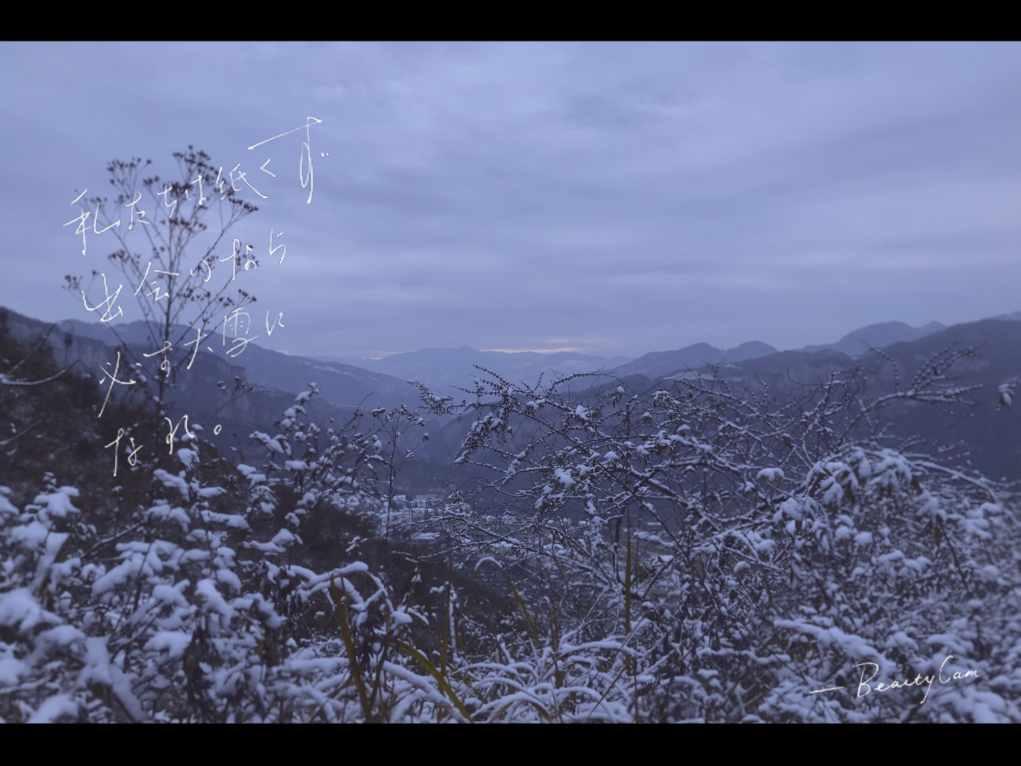 为什么别人可能是假的?+我就是真的呢?怎么回-专业问答类网站